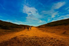 Landscapes